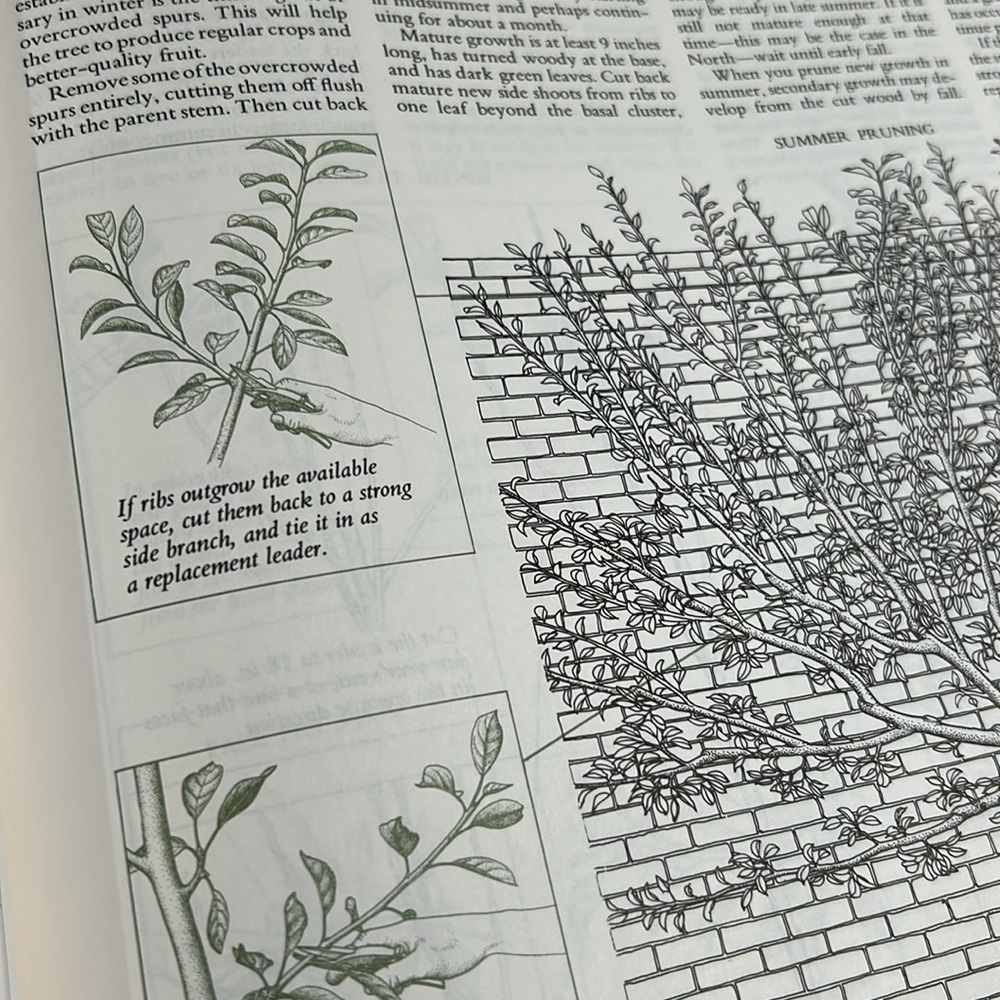 Vintage 1979 Reader's Digest Illustrated Guide to Gardening in Canada Book - Picture 12 of 16